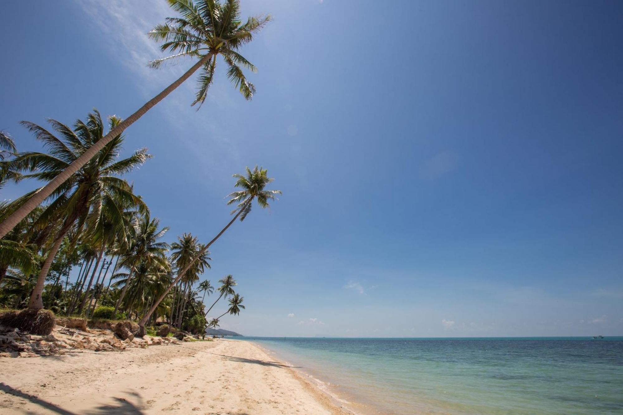 Sea&Sky Beach Resort Mae Nam Εξωτερικό φωτογραφία